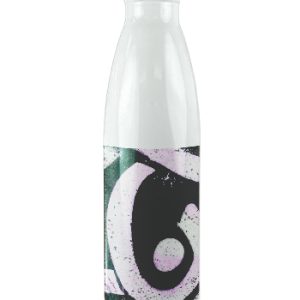 17 oz Stainless Steel Insulated Water Bottle