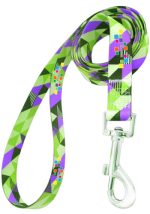 Dog Leash with Adjustable Collar and Carabiner