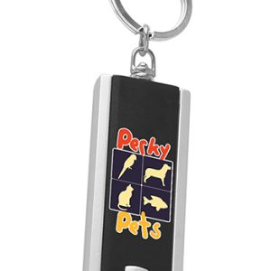 Rectangle Light Keychains