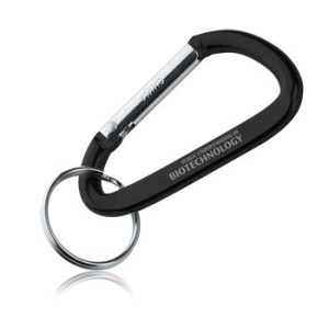 Metal Carabiner Keychains